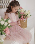 Dress shine